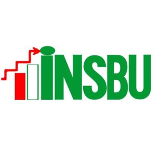 Institut National de la Statistique du Burundi: Demande de cotations