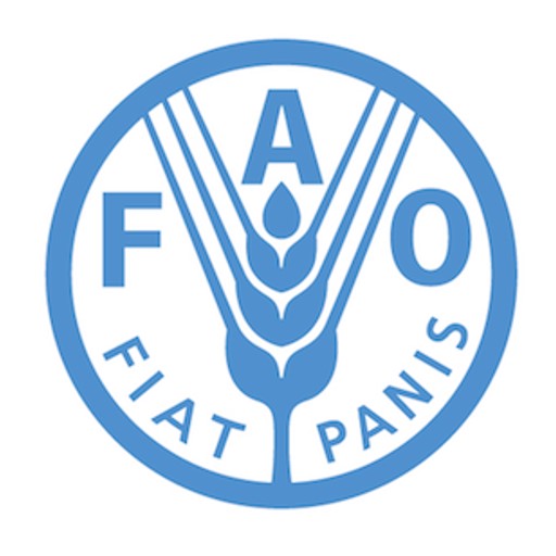 Food and Agriculture Organisation: Coordonnateur(trice) de Projet