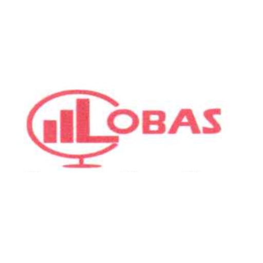 GLOBAL FINANCE SERVICES: Directeur Général Adjoint