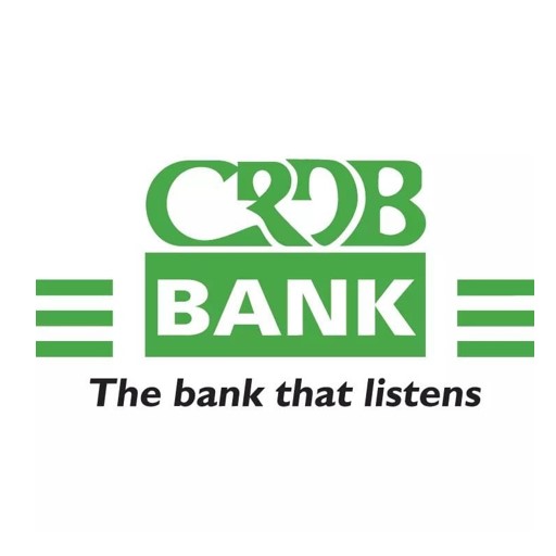 esoko | CRDB Bank Graduate Development Program