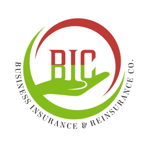 Business Insurance and Reinsurance Company: Un Chauffeur
